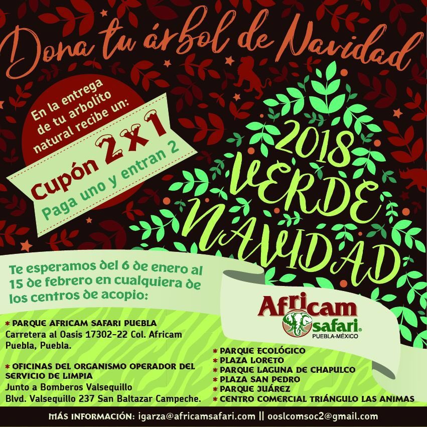 ¡Dona tu árbol de Navidad antes del 15 de febrero! El centro de acopio del Parque Ecológico te espera de 9am a 6pm en la entrada de la 35 Oriente. Tendrás la oportunidad de ayudar y llévarte un cupón 2x1 en tu próxima visita a Africam Safari. 🌲♻️
#ReciclaTuArbolito