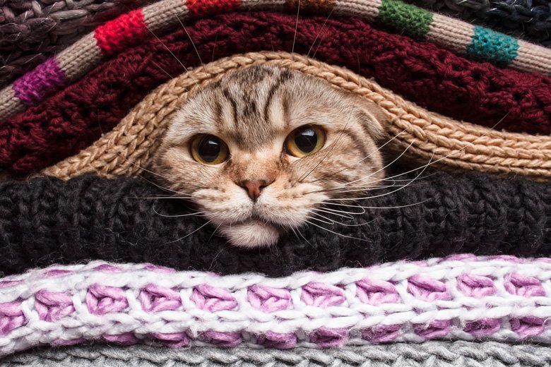 PunchUpComedyTO's tweet photo. It's cold outside! Come warm yourself by this Wednesday's 🔥 show! With @katedaviscomic @lubamagnus Geroge Burgess &amp; Darcia Armstrong! https://t.co/thKRziowvv