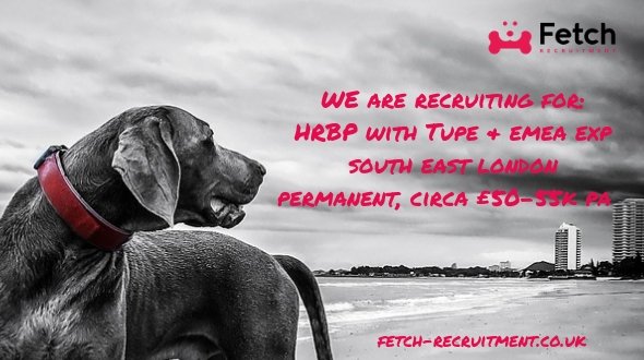 Our well-known client in South-East London are looking for a HRBP with TUPE and experience of EMEA.

This is a permanent role paying £50k + £5k car allowance. The business is growing and is offering lots of development opportunities!

For details/to apply: ow.ly/8kwR30nj8fe