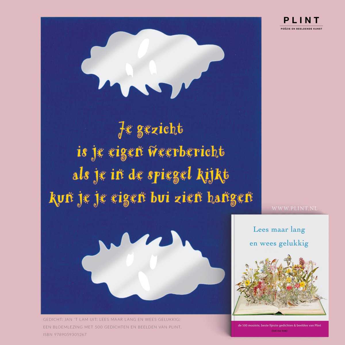 Je gezicht 
is je eigen weerbericht. 
Als je in de spiegel kijkt 
kun je je eigen bui zien hangen. 
gedicht: Jan 't Lam
uit: Lees maar lang en wees gelukkig:
een bloemlezing met 500 gedichten en beelden van Plint.
ISBN 9789059305267