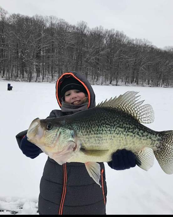 povertybayhunt1's tweet image. 4lb 19.5 inch crappie caught in new Jersey by a ll yr old what a slab ,congrats ☺