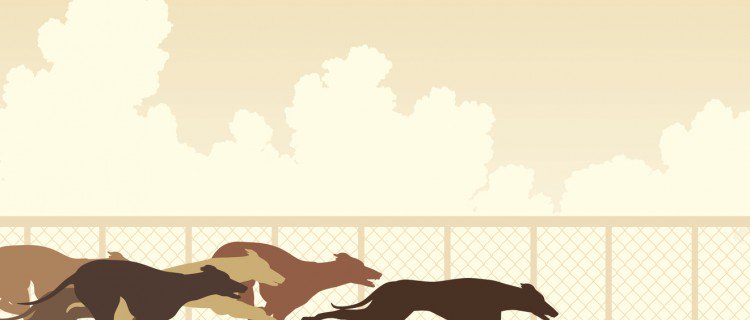 UK greyhound racing receives £3m boost from bookmakers

po.st/hH75k8