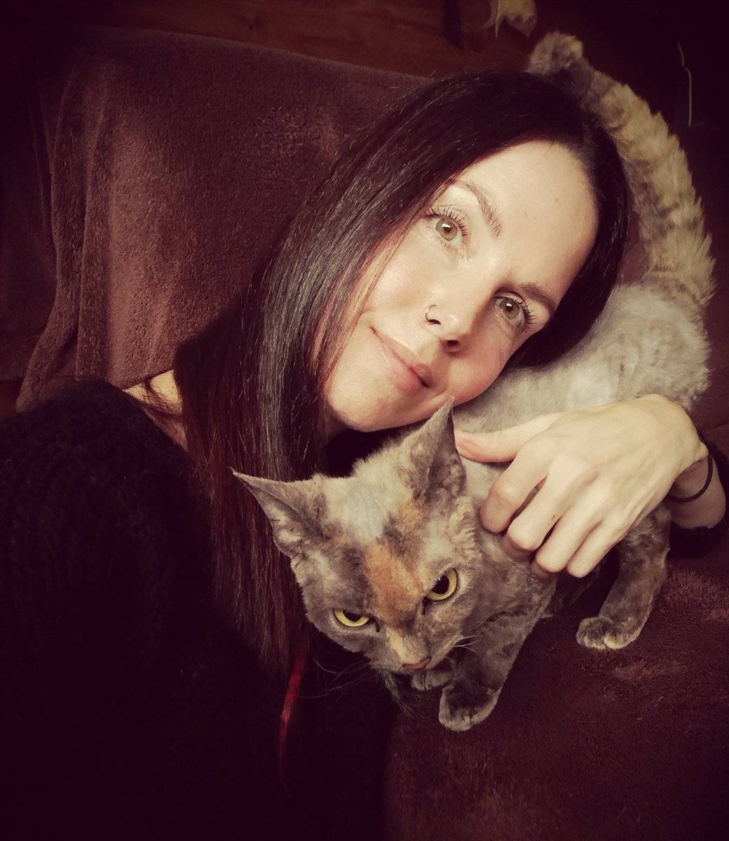juliemckenz's tweet image. My side kick #Devonrexcats 💚 Libby moon