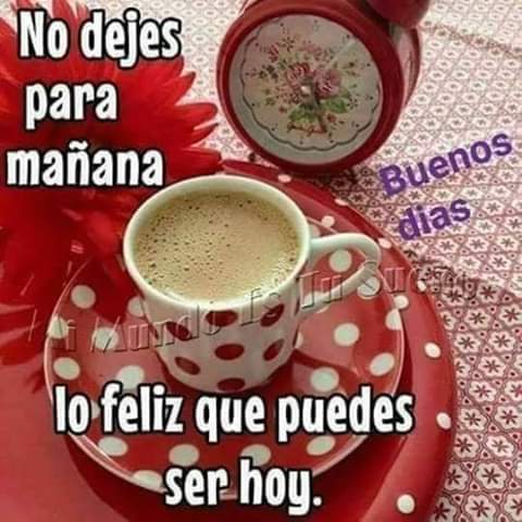 marlene0864's tweet photo. @zulemadifrances @lidiasofia53 @aim_adri @TsAlana2205 @82_hanim @TASIAT3 @sanromiluz @anamariaEARNKK @engin_fan @EecoGuille @EnginBrasil @gralopez5 @nereinma @gloria1568 @JanetBlanco11 @hilda_mier @ValentinaGia @_lyzCR @farooq_saleha @EnginAkyurekBRA @AnaPaul96065645 @zolotorevakrap1 @IsabelI24860013 @HaniyahMasowd @FatmagulEspana @SabellaFerrarii @FelixDeAkyurek @sonblan2002 @Tatiana241251 Buen lunes Zule y a todas chicas ..bendiciones y q todo lea vaya super 👍🤗🤗❤❤😘😘😘 https://t.co/BkfsWTW0a3