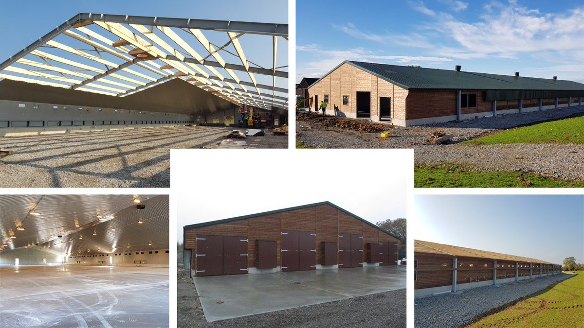 Various stages of a recently completed 16k bird laying unit.
Customer gave himself plenty of time to complete all aspects of the project and was rewarded with a first-class building.

Well done to everybody involved. 🐔🏠