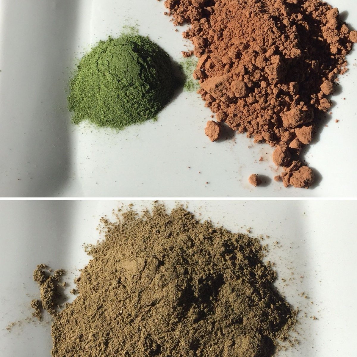 PinesWheatGrass photo