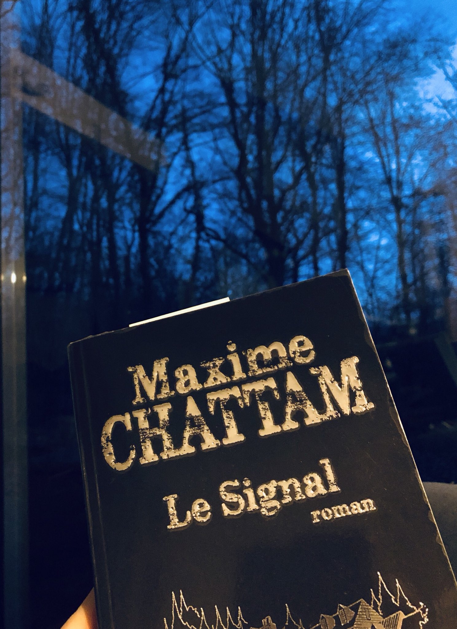 Biblioman Le Garcon Qui Lit Damienboutard Twitter