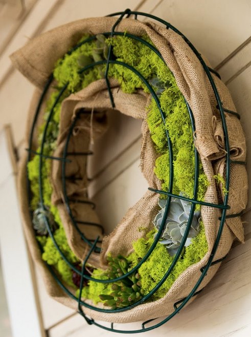PlantCalifornia's tweet photo. Succulents come in a variety of shapes, sizes and colors. One thing they all have in common is they retain water in their leaves, making them a brilliant low-water  option.
•
Learn how to create your own succulent wreath here: https://t.co/hZmOrVt3BS https://t.co/BER3eVG0FT