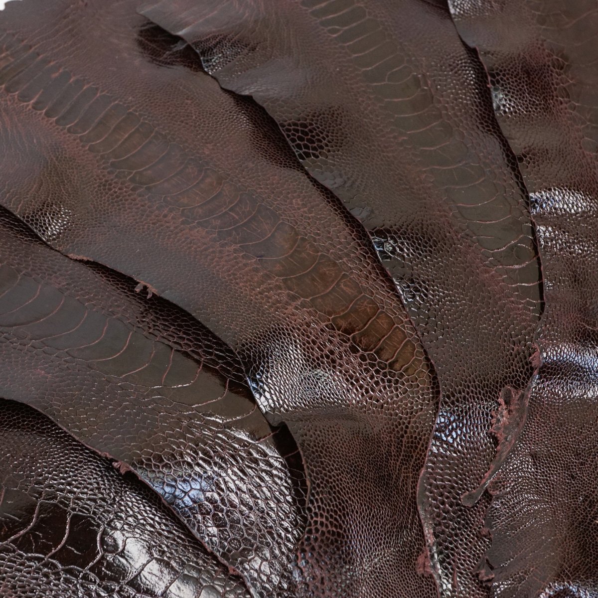 Springfield Leather tweet media