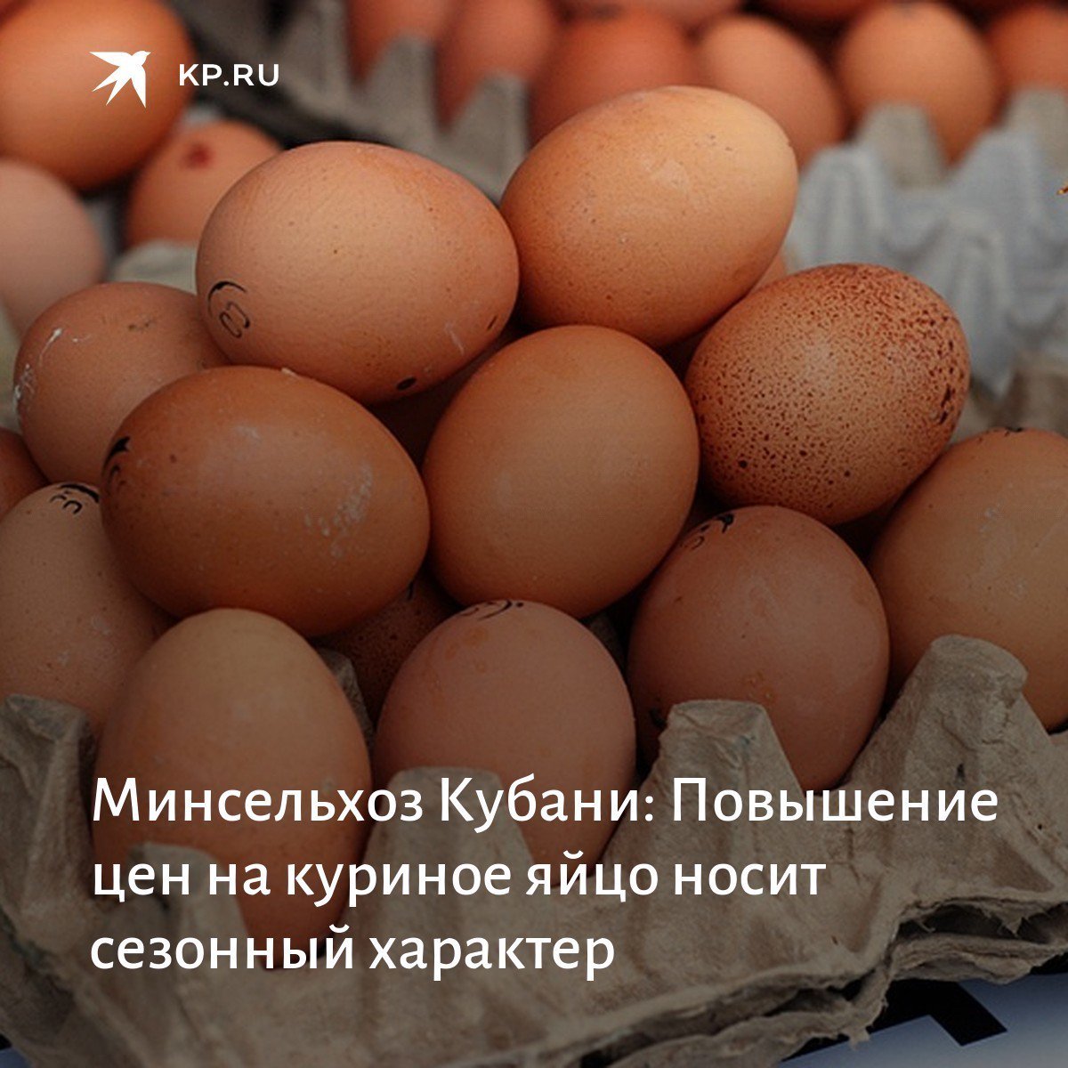 Выросли цены на яйца. Куриное мясо и яйца. Яйца подорожают до 40%. Повышение цен на яйцо и курицу. Яйца в магазине.