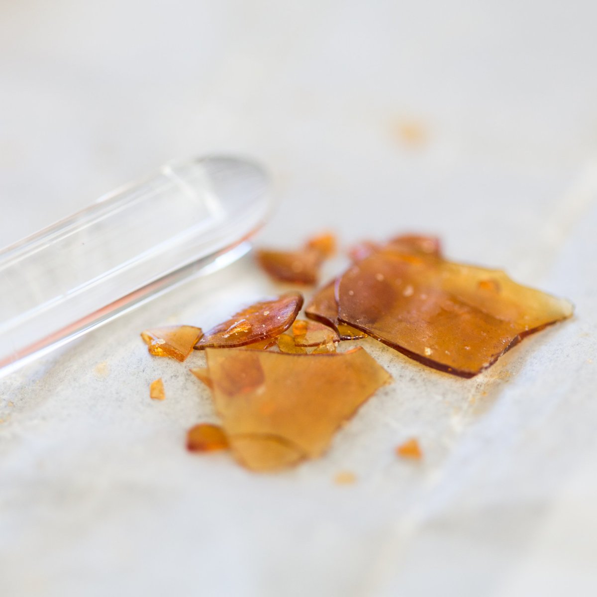IDispensary's tweet photo. Shatter can be used in a variety of ways. It can be sprinkled inside of a joint, smoked in a vape pen or dabbed. People often ask what the difference is between concentrates such as shatter and wax. It really comes down to the finishing process. Read more: https://t.co/qJsNOC6i2p https://t.co/T7yH6LuW9o