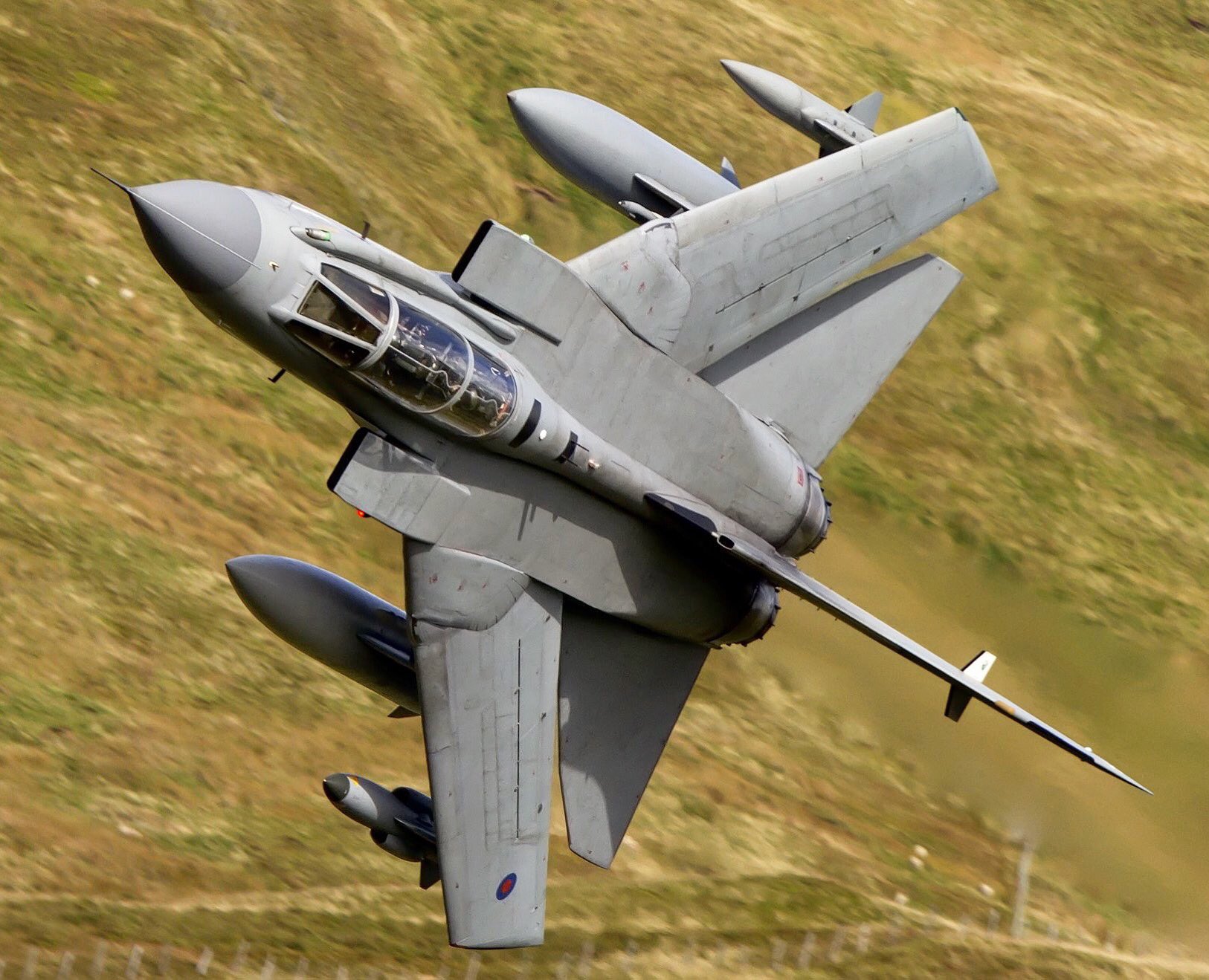 Dw51d5bWkAAXqIX.jpg:large