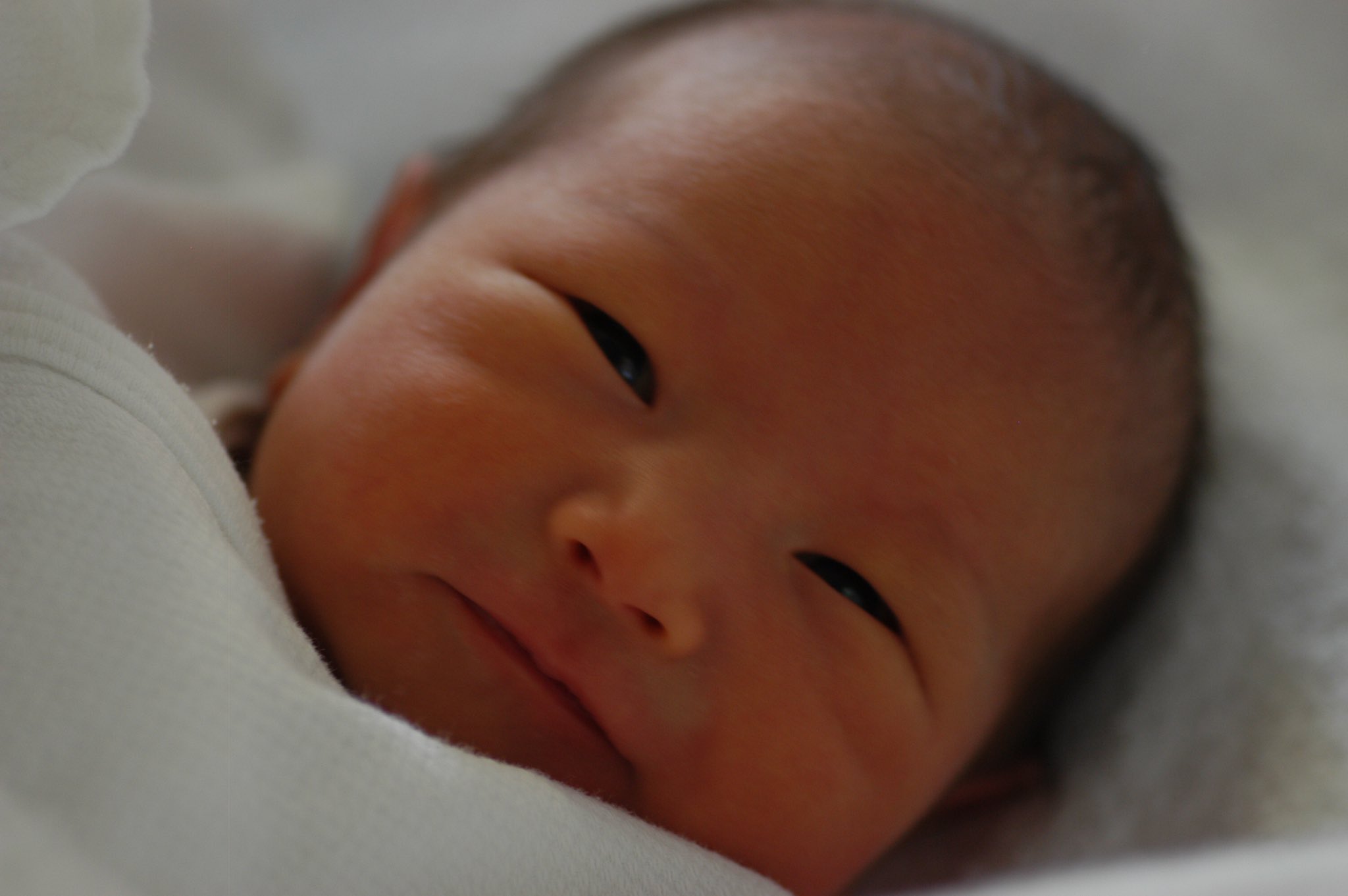 赤ちゃんポストインターネット Twitter Search Twitter