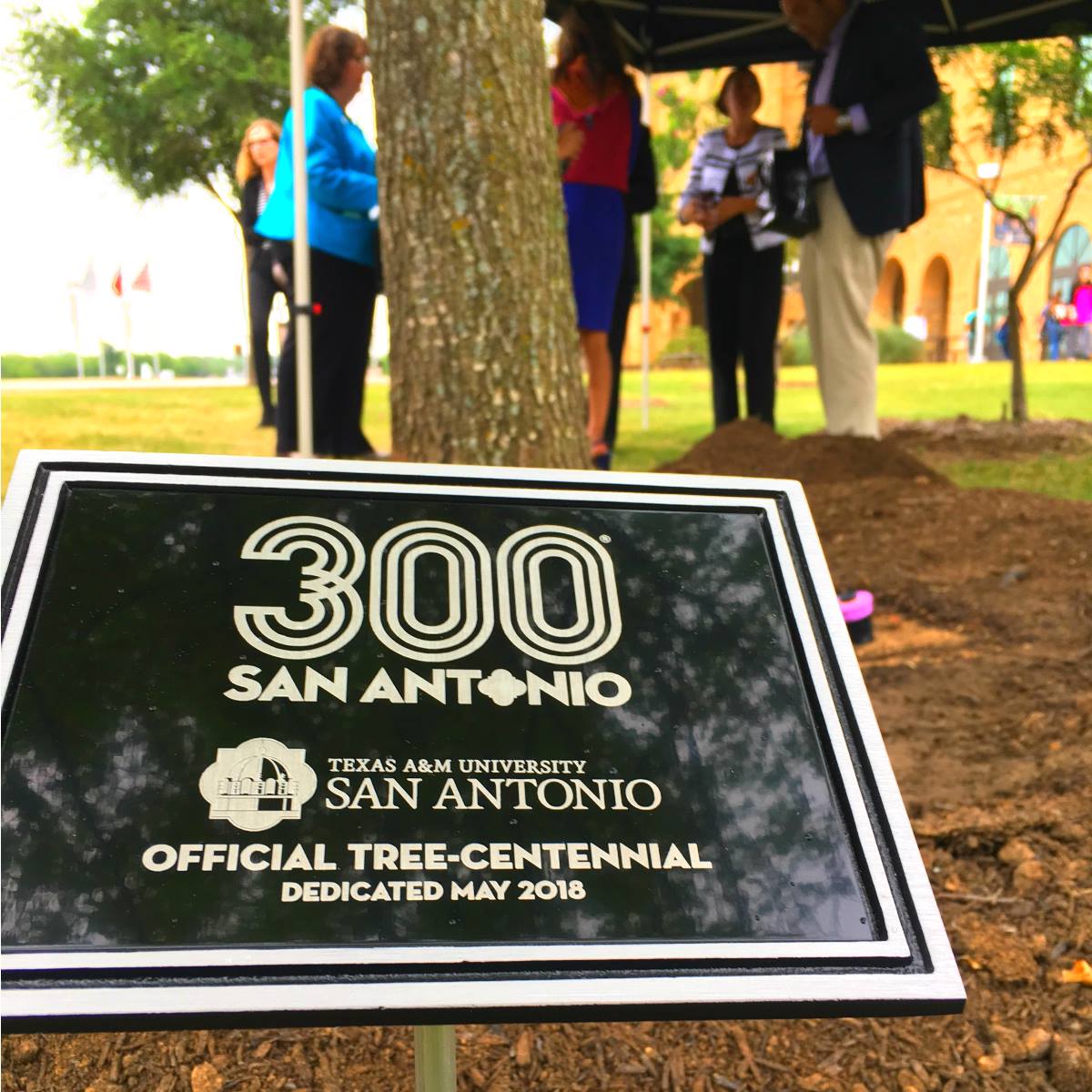 San Antonio 300 (@sanantonio_300) on Twitter photo #300LookBack Tree #1 being planted at <a href="/TAMUSanAntonio/">Texas A&M University-San Antonio</a> last year to kickoff the "Tree-centennial."
The initiative helped plant 300 trees in 2018 across eight San Antonio universities. #300LookBack Tree #1 being planted at <a href="/TAMUSanAntonio/">Texas A&M University-San Antonio</a> last year to kickoff the "Tree-centennial."
The initiative helped plant 300 trees in 2018 across eight San Antonio universities.