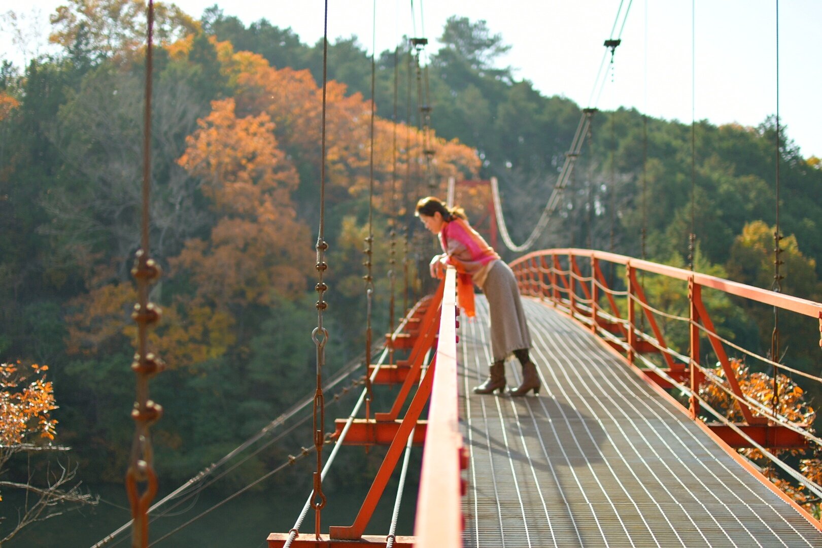 Tomo Photo 杉村公園 和歌山県橋本市 ８ 撮影 18年12月2日 写真好きな人と繋がりたい 写真撮るのが好きな人と繋がりたい ファインダー越しの私の世界 杉村公園 和歌山 紅葉 モミジ 橋本市 和歌山県 後ろ姿 吊り橋 T Co