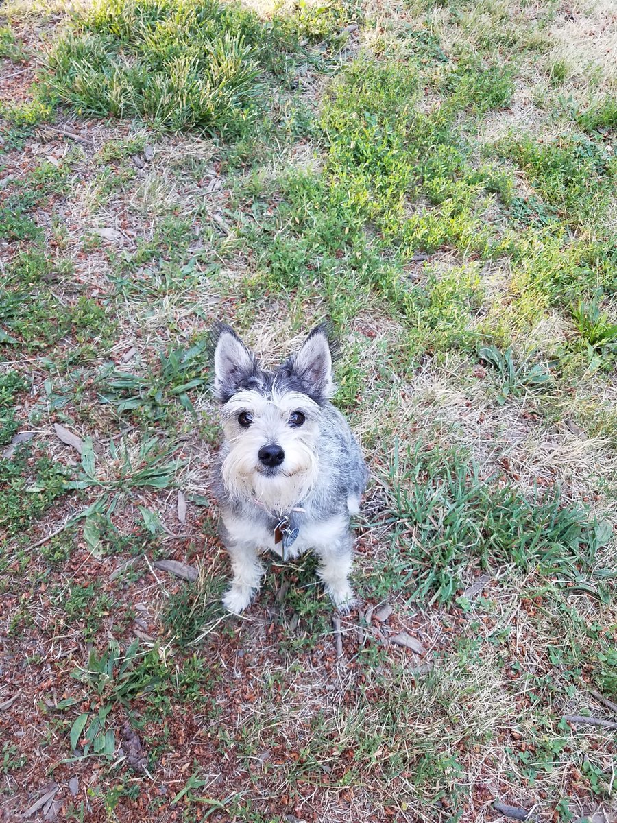 Changes are coming! Have you heard the latest news? There’s a bunch! Check out the bottom our home page for more info. dogpawoffleashparks.org