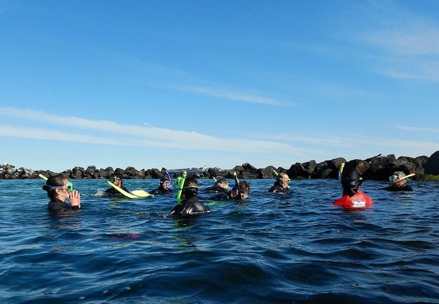 OHWAKE's tweet photo. Join @EarthEcho &amp; @pcousteau for launch of #Expedition #PlasticSeas tomorrow, Jan 15, at 1:00 PM EST for a free live #virtualfieldtrip 👉 https://t.co/21Q9vyMj6f! 

#ExpeditonEE #STEM https://t.co/4VaeSytJ5X