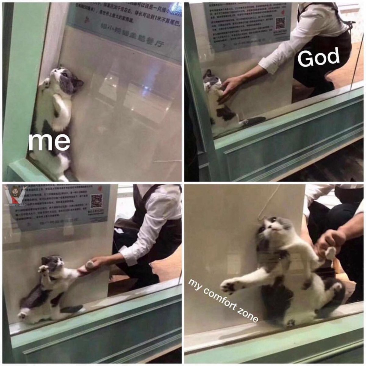 MEME MONDAY — Step out of your comfort zone and GO to Winter Retreat! — praisechurch.tv/412