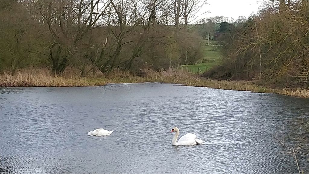 First walk of 2019 yesterday.  Started and finished at the Goodmanham Arms taking in some of The Wolds Way and Londesborough Park.  #walking #woldsway #eastyorkshire