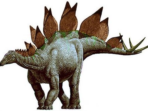 ハシテツヤ 映画監督 アプリ開発者 Twitter પર ず っとステゴサウルスって捨て子サウルスだと思ってたけど 英語だった Stego 屋根に覆われた Saurus トカゲ へ って思ったらrt