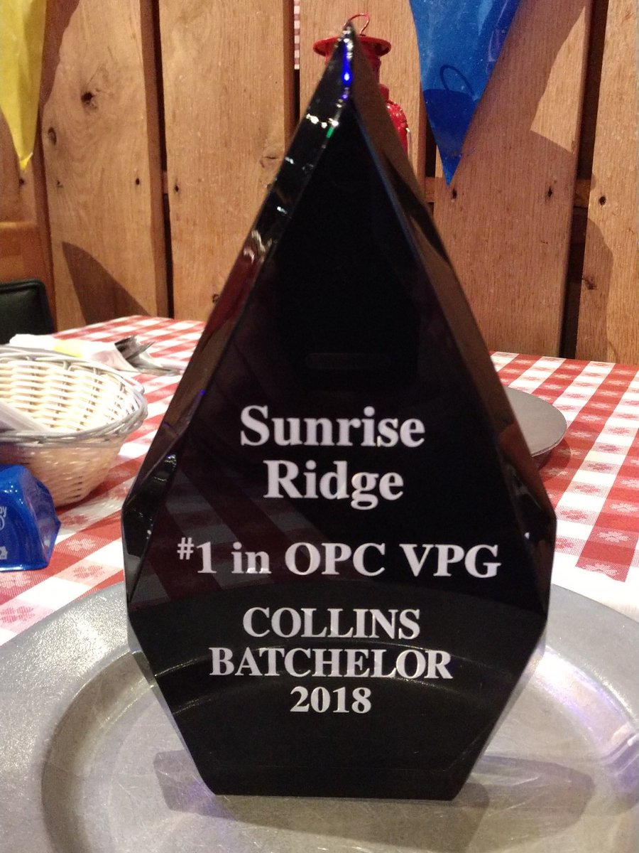 CollinsVacation's tweet photo. WOW! I'm so proud that I was able to achieve this honor. Couldn't have done it without the great #DiamondResorts and leadership of @FamilymanLL &amp; @BrandonLeMDRI https://t.co/VyNyRqDfMH