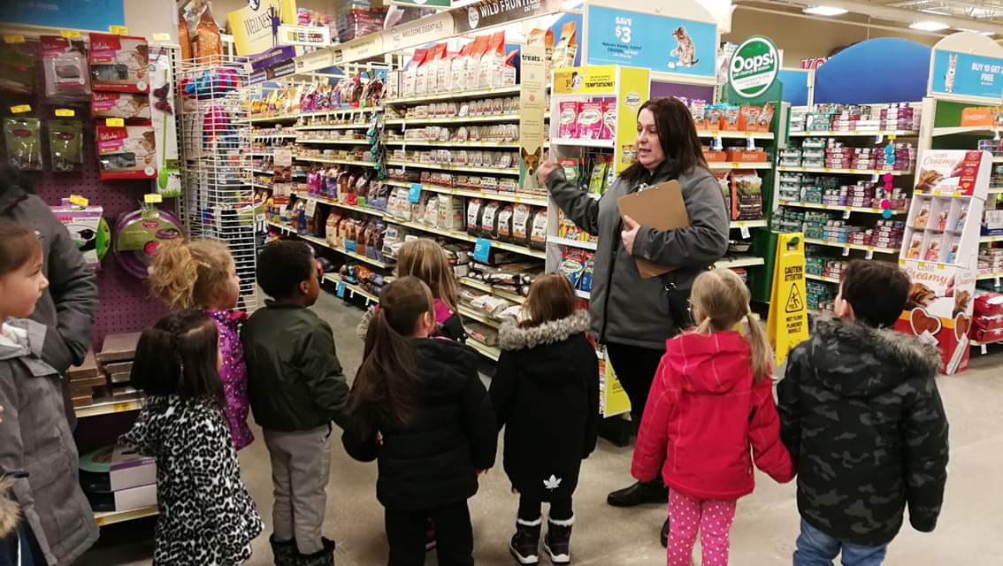 StAnnTBCDSB's tweet photo. Mrs. Tarsitano &amp; Ms. Darou's ELKP class enjoyed an excursion to Pet Smart to purchase supplies for the cats at Kitty Kare. They raised $450.00 by selling candy canes. The children had fun picking out food and toys for the cats. #petsmart #elkp https://t.co/Xg4fchjcEs