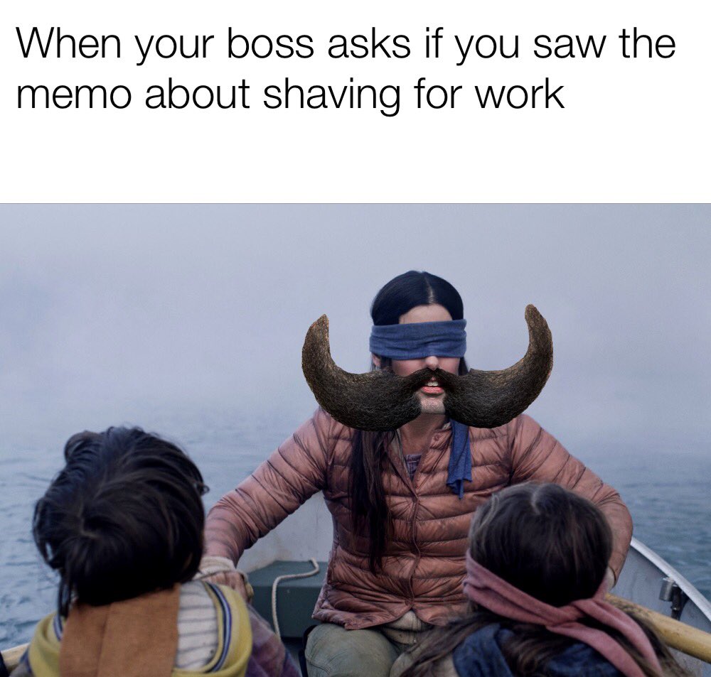 razorhater's tweet photo. #beardbox #BirdBox https://t.co/ZNltwV0ozM