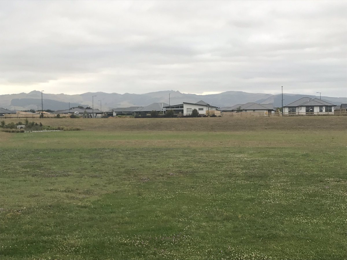 Reynald_Linea's tweet photo. Lincoln New Zealand 6:30 am let’s go for a ride of running with mountains around before making my last choices of breeding lines on the fields. Life is choices but breeding is choices every 2 minutes. You can’t back home with all the lines! #selectionpassion #flax #linen #celc https://t.co/dADq7JU0xu