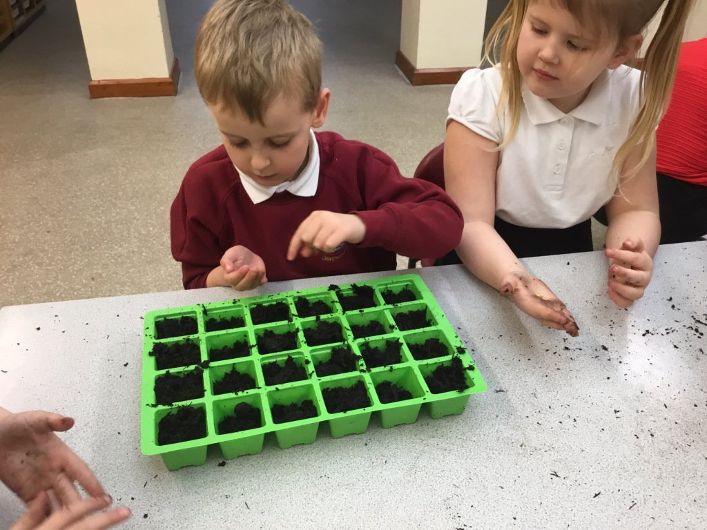 Science experiment  wombridgeprimaryclass2.wordpress.com/2019/01/14/sci…