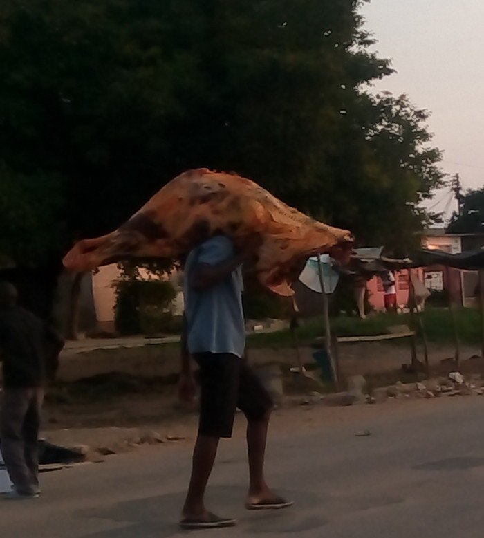 zenzele's tweet image. This business of looting people's bussinesses is so wrong. #Asakhe.