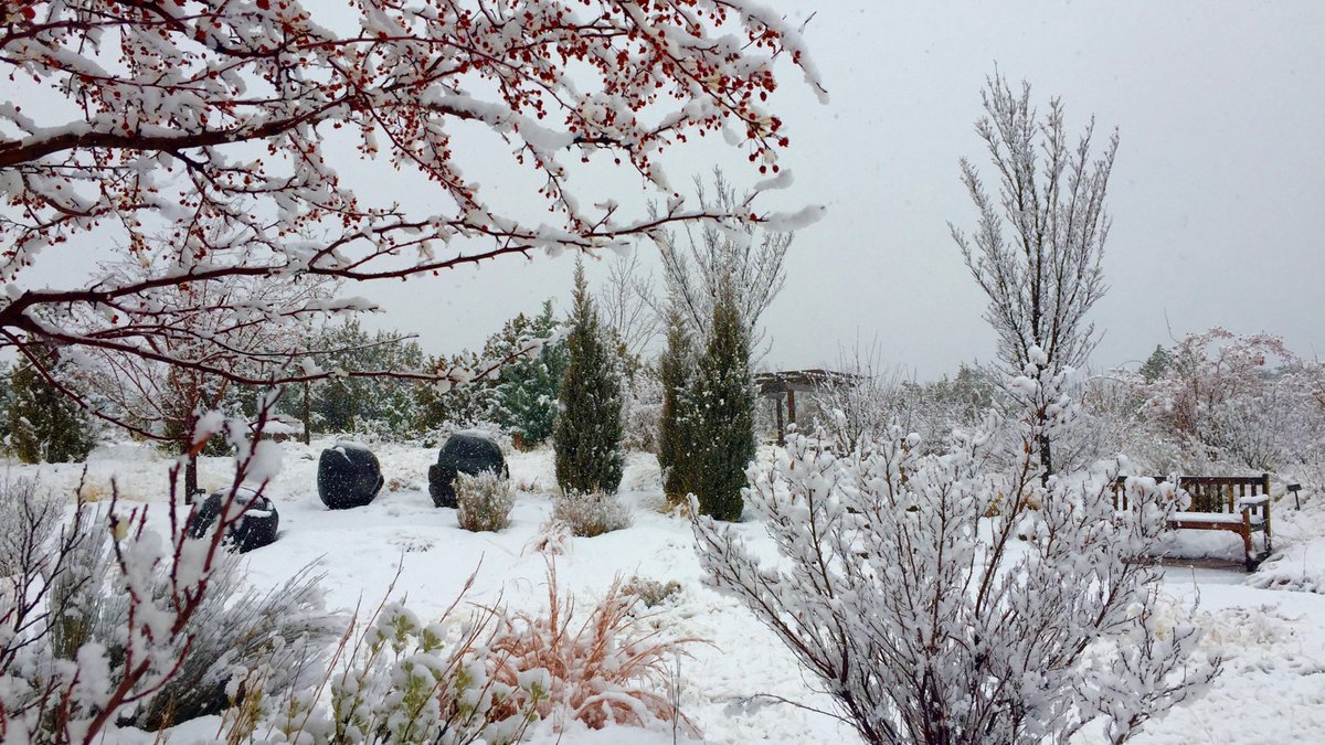 SantaFeBG's tweet image. Another image from this weekend's snowstorm! We love how snow transforms landscapes and reveals new details. ❄️❄️
📸: Clayton Bass
#santafebotanicalgarden #winter2019 #januarysnow #experiencesantafe
