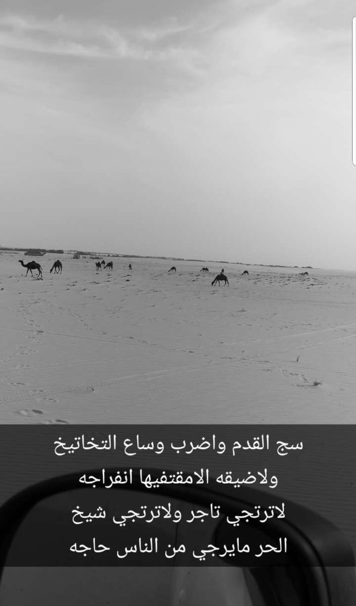 sam9sam9's tweet image. 