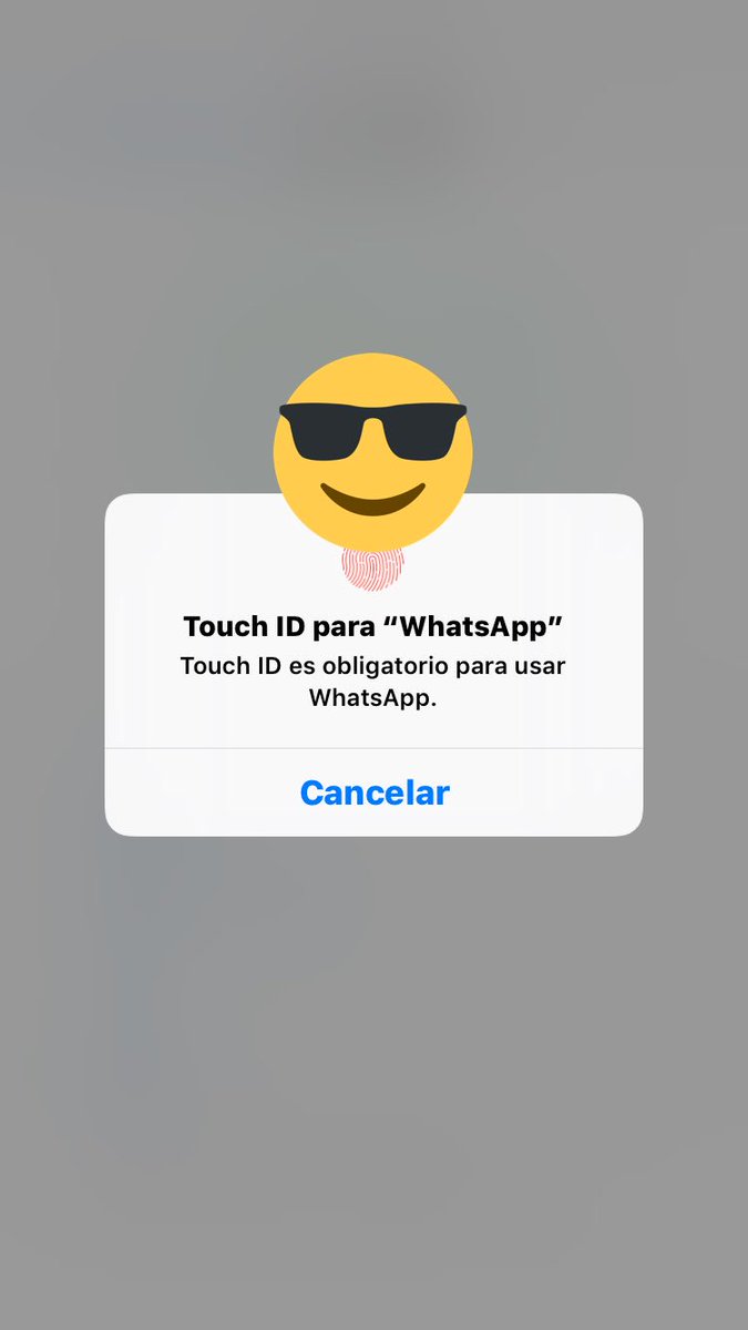 Turinconiphone's tweet photo. WhatsApp 2.19.20 para iOS traerá como novedad principal la opción de activar seguridad Touch ID, por fin!! #whatsappios #WhatsAppBetaiOS https://t.co/CD9VUpGx9X