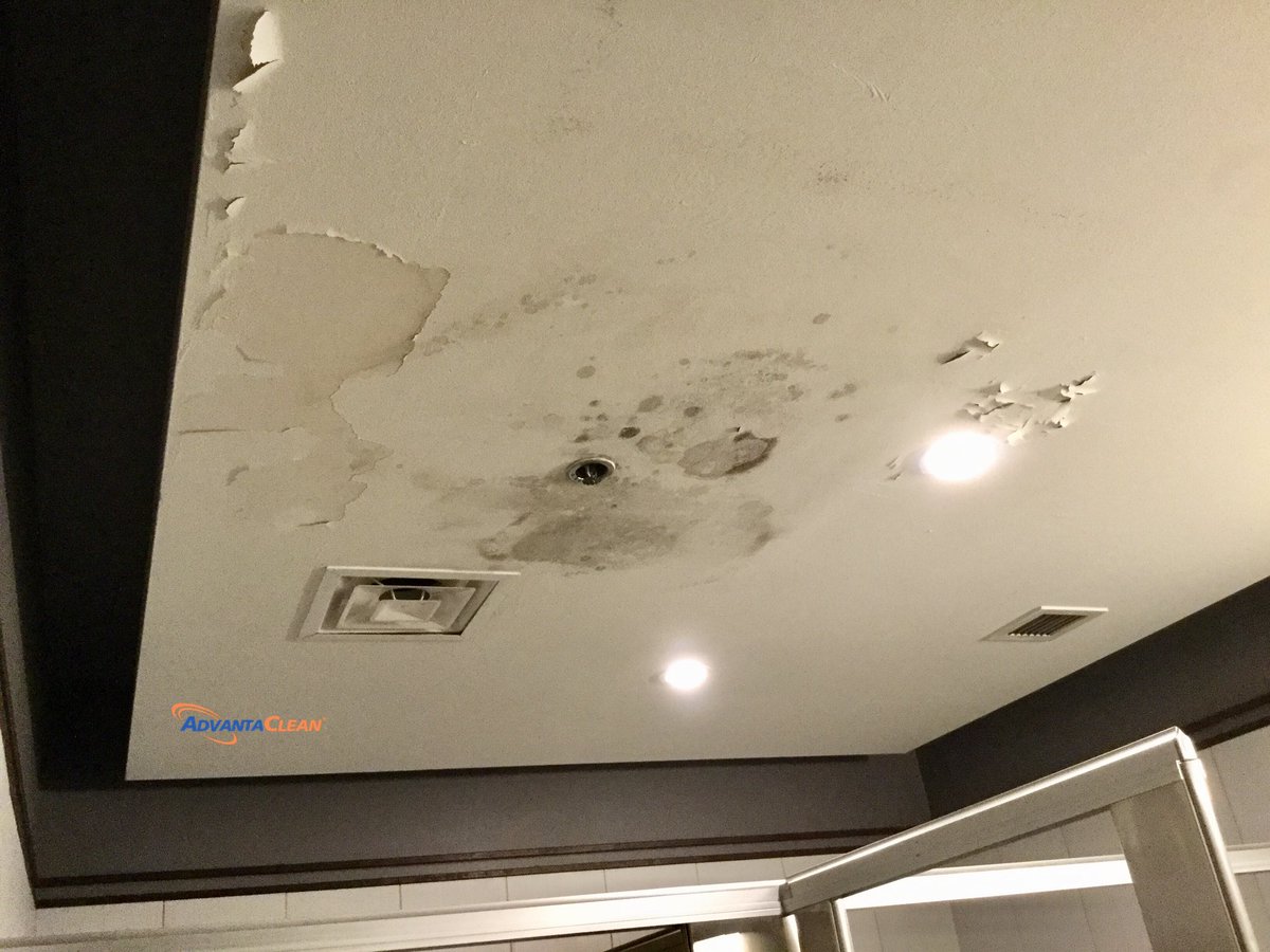 AdvantaCleanHTX's tweet photo. Take care of your family and your home, if you notice the presence of mold, make an appointment with us, we will solve it. We will focus on giving you the best possible customer experience through our hard work. #AdvantaClean https://t.co/g7UHBKv0DC