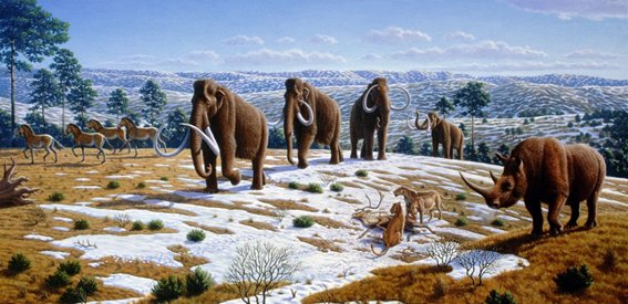 A thread discussing the causes of the Late Quaternary megafauna extinctions, AKA Ice Age animals. It will be the first of a series that will also deal with the consequences of, and the solutions to these extinctions, because the effects of this cataclysm still persist.  #Megafauna