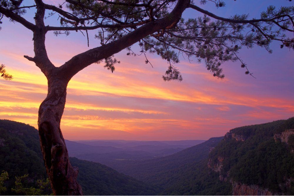 GAposts's tweet image. Cloudland Canyon, Georgia