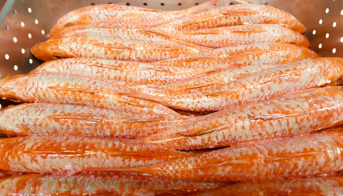 For a few days only!! fresh barbounia (red mullet) straight from the pristine waters around Mt. Athos in northern Greece. Make your reservations today and let us grill them to perfection!