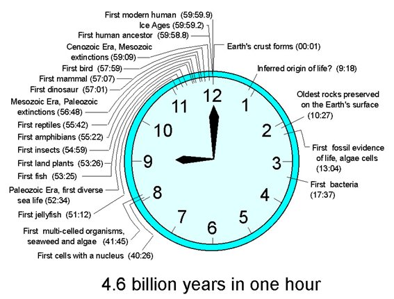 For example, life appeared some 3,700,000,000 years ago. Homo sapiens however, has only been around for ~300,000 years. Our existence makes up only the last 0.0081% of the time that life has been on earth. From this perspective, we’ve only just appeared.