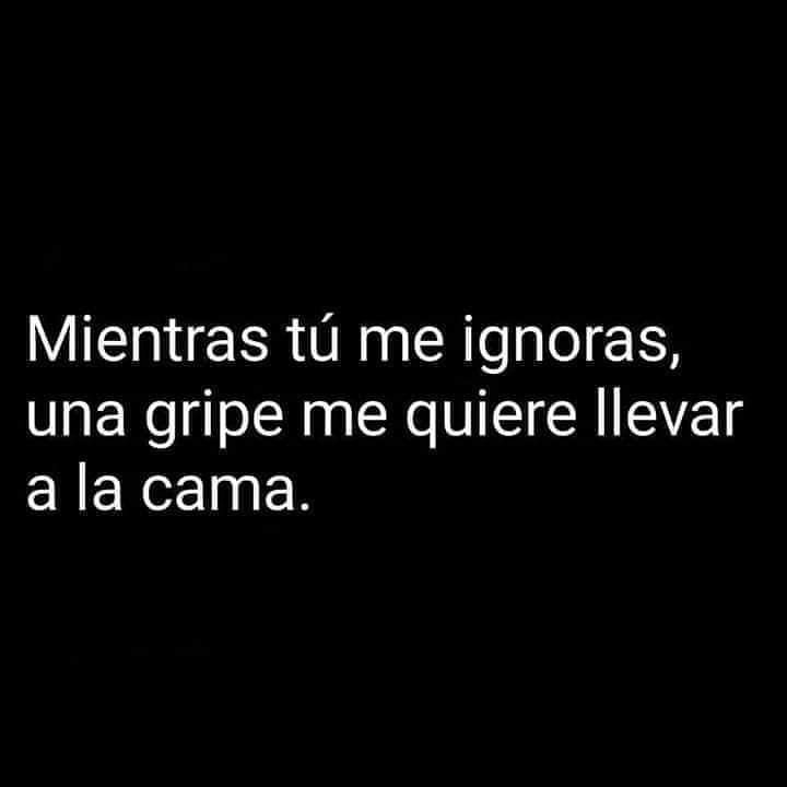 Evadelaire's tweet image. No digo nás... #BuenasNoches #FelizDescanso #LunesConHumor #Live #Love #Laugh and #Dream 💚