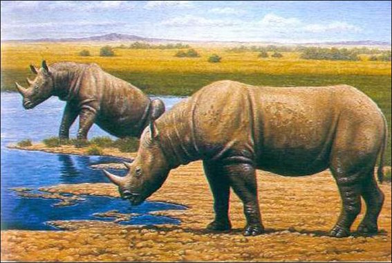 At roughly the same time as the Australian megafauna collapsed, Eurasia began to lose some of its more temperate-adapted megafauna, with the first wave of extinctions in the temperate Palearctic taking place between 40,000 and 20,000 years ago.
