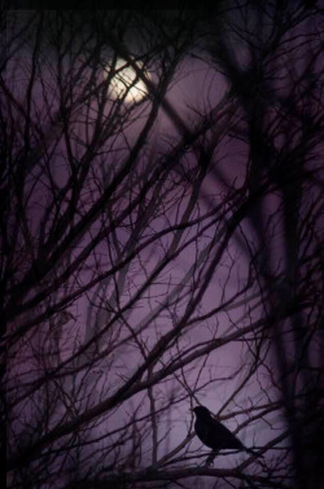 عندما تكون الصورة اروع من الكلام 💜💜