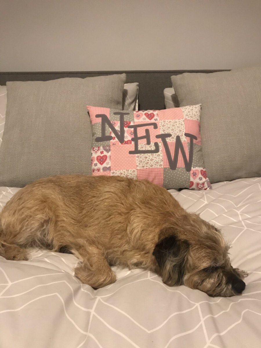 PoppyH20's tweet image. Thank you so much to the very talented @CraftArtisans and @ArchieThePatti for making hoosis a lovely birthday present for her “New” house.  Coco @cocopops_12 and I approve 👍🐶🐶😘