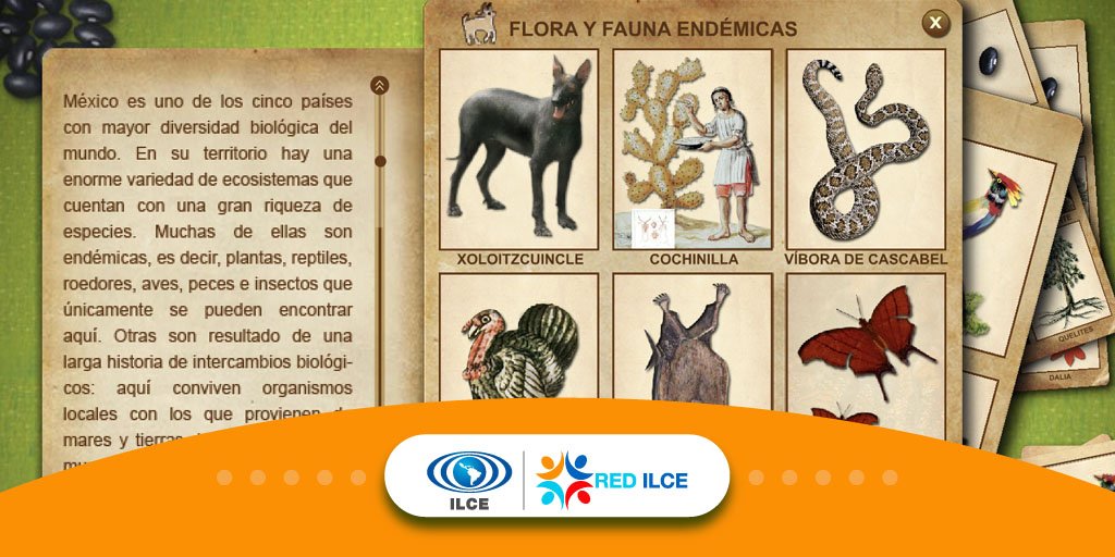 ILCEedu's tweet photo. #RedILCE
Aprovecha tu tiempo libre y explora el interactivo Biodiversidad Mexicana. Da clic aquí--> https://t.co/MBVwdHwtS8 https://t.co/gsFLnTtVD6