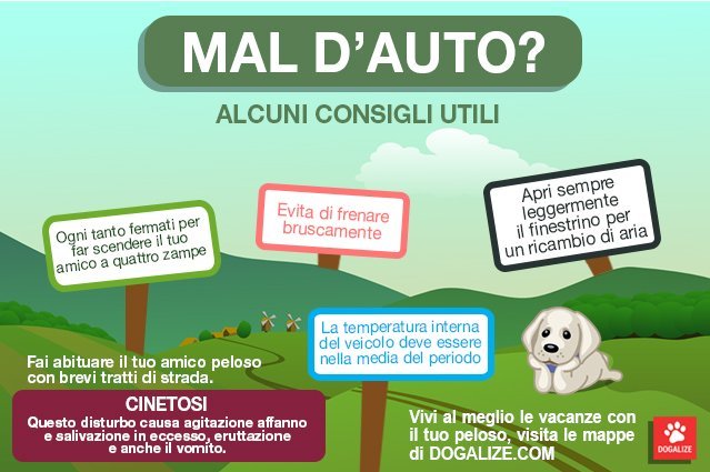 Sparx Mascotas On Twitter Mal D Auto Cane Cucciolo Chien Sparx Mascotas On Twitter Mal D Auto Cane Cucciolo Chien