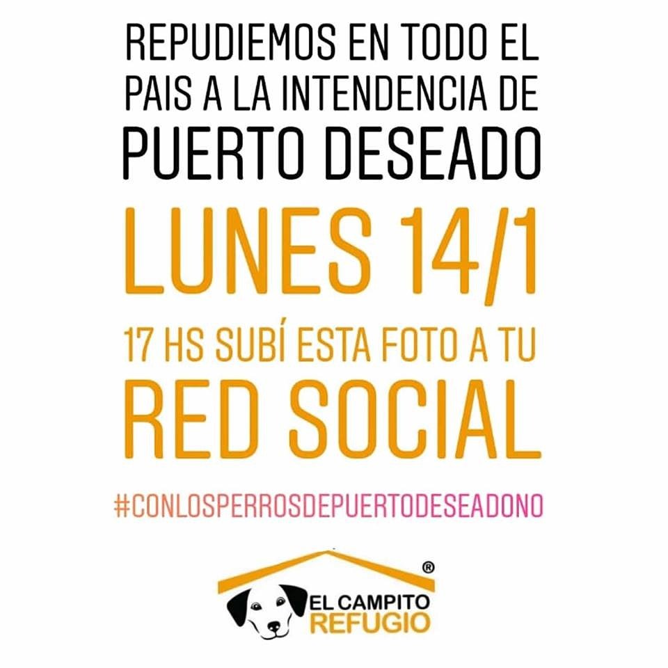 elcampito's tweet photo. #ConLosPerrosDePuertoDeseadoNO 
Te pedimos tu RT para repudiar esta matanza.
Todos juntos podemos!!
Compartí 🙏🙏🙏 https://t.co/Ps8fcFOhHb