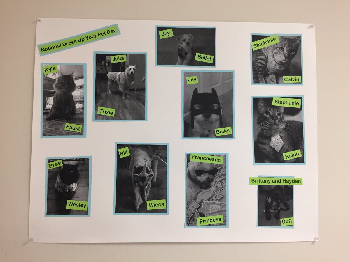 TaraBrehm1's tweet photo. National Dress Up Your Pet Day! #T0696 #Burlingtontarget #NationalDressUpYourPetDay #HumanResources #HR https://t.co/1xbwwPDRKu