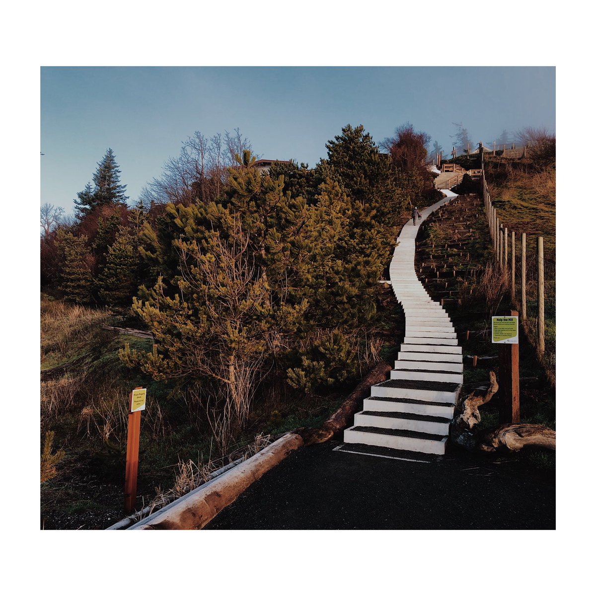 WoodJOntario's tweet photo. Went to Goose Spit this morning looking for a sign, found fog! And the new stairs. They look awesome. #cvcollective #explorebc #comoxvalley #vancouverisland #goosespit https://t.co/gyONlCoKSS