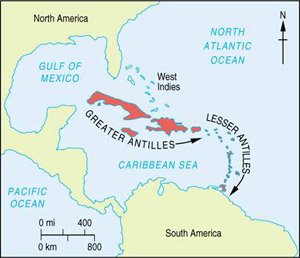 In all of these examples the extinctions between continents and islands were separated by several thousand years.