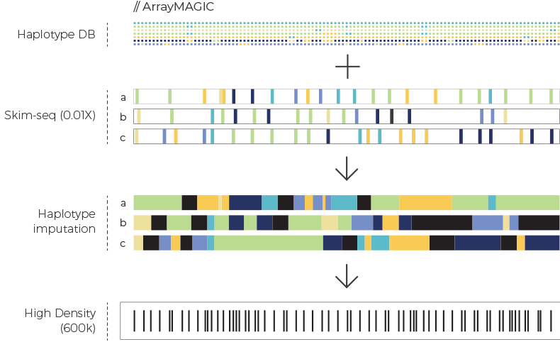 NRGene's tweet image. Come here Guy Kol talk about @NRGene's new #ArrayMAGIC haplotype-based system for low-cost sequence-based genotyping
TODAY at 1PM at @IgenomX Industry workshop Sunrise Meeting House
#PAGXXVII #PAG2019
plan.core-apps.com/pag_2019/event…
#genotyping #genomics