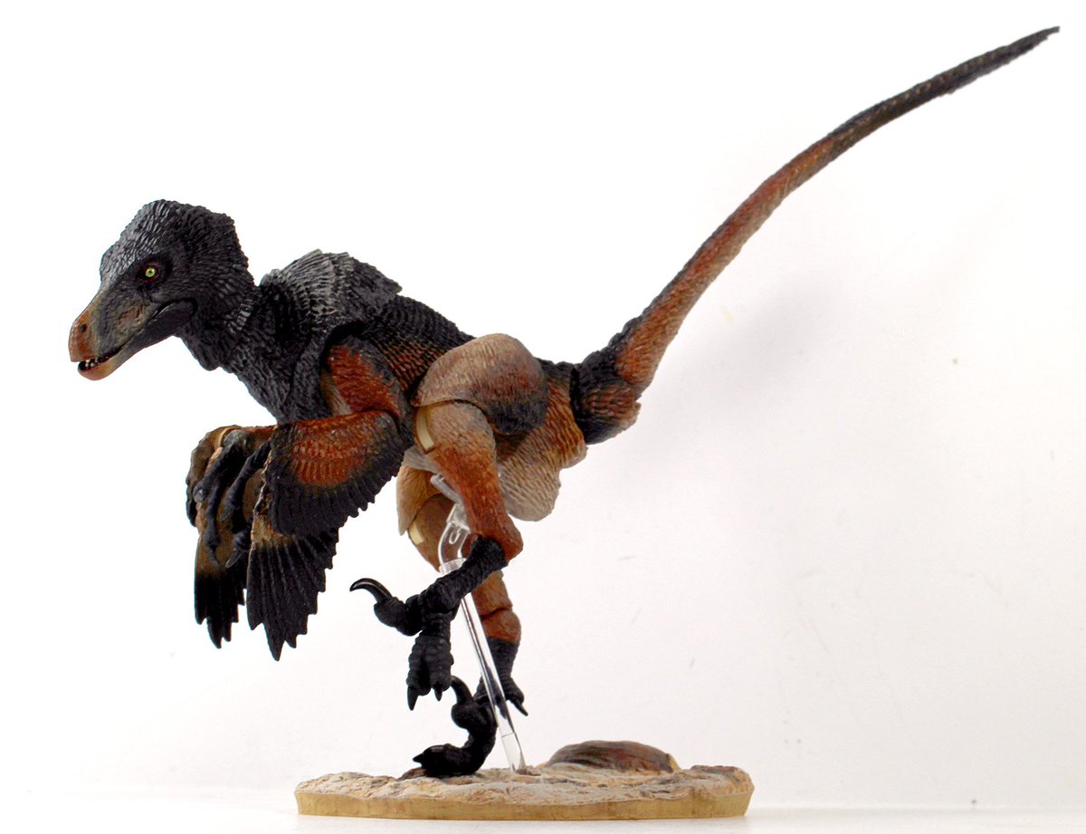 beast of the mesozoic velociraptor